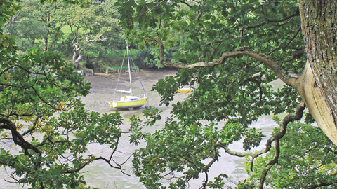 Penwith Pocket Guides and the Helford Guidebook - an update - Friendly Guides