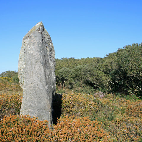 Photo from Friendly Guides Lizard Guidebook of Dry Tree menhir next to Goonhilly Earth Station on the Lizard Peninsula in West Cornwall