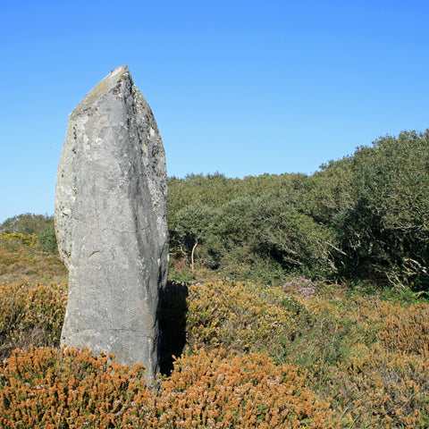 Photo from Friendly Guides Lizard Guidebook of  Dry Tree menhir next to Goonhilly Earth Station on the Lizard Peninsula in West Cornwall
