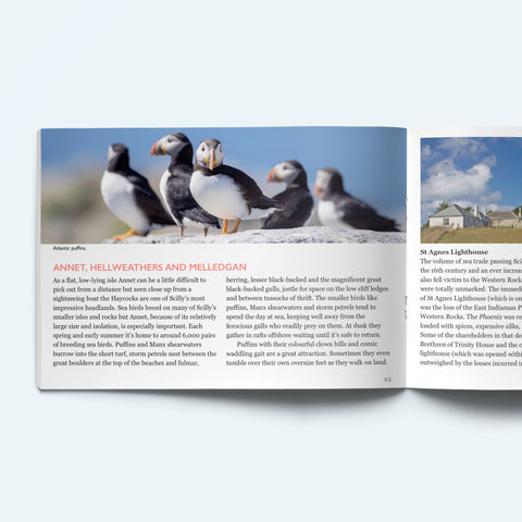 Pages from our Scilly Island by Island book on St Agnes showing puffins standing on a rock. The facing page shows a picture of St Agnes Lighthouse..