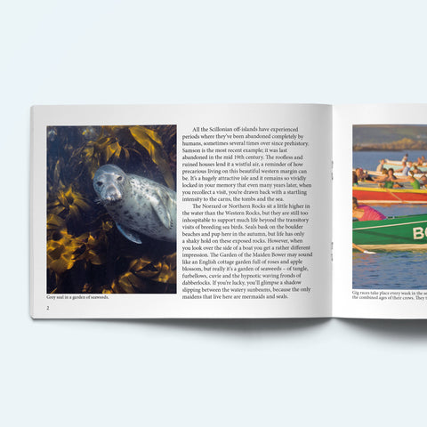 Pages from our Scilly Island by Island book on Bryher showing a seal underwater surrounded by seaweed. On the opposite page gig boasts are racing in the evening sun.