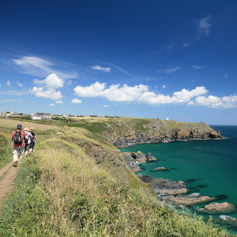 West Cornwall - The Lizard Guidebook