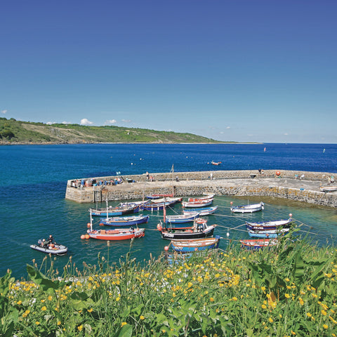 West Cornwall - The Lizard Guidebook