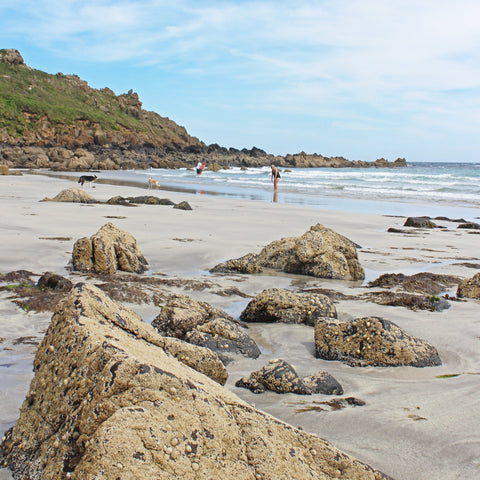 Photo from Friendly Guides Lizard Guidebook showing swimmers at Mears Beach (Porthbeer) near Coverack on the Lizard Peninsula in West Cornwall