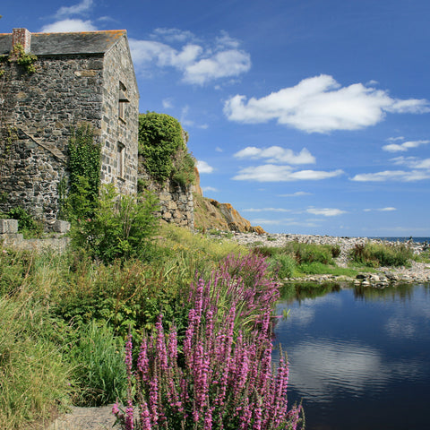 Photo from Friendly Guides Lizard Guidebook of the old serpentine works at Poltesco and Carleon Cove on the Lizard Peninsula in West Cornwall