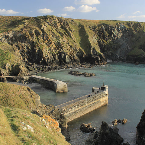 Photo from Friendly Guides Lizard Guidebook of Mullion Cove harbour on the Lizard Peninsula, West Cornwall with Porth Pyg in the background