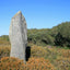 Photo from Friendly Guides Lizard Guidebook of  Dry Tree menhir next to Goonhilly Earth Station on the Lizard Peninsula in West Cornwall