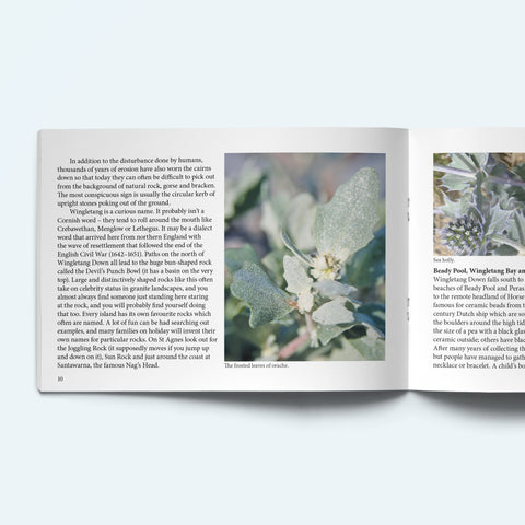 Pages from our St Agnes book showing text and a photo of frosted orache and sea holly.